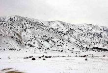 گزارش تصویری از یک روز برفی در شاهرود